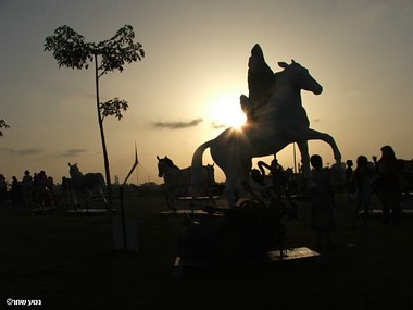 מעופף לשקיעה