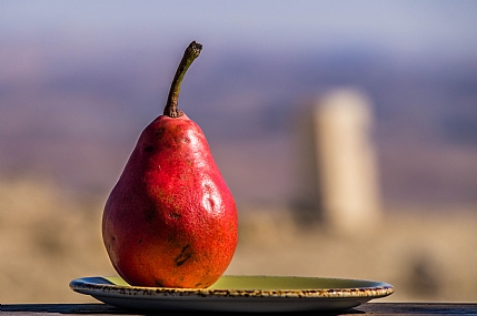 טבע דומם בטבע
