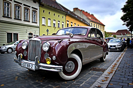 צילום: אור שמאי