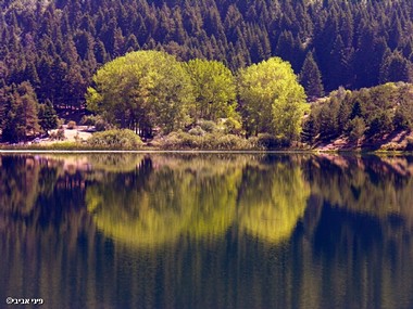 עוד השתקפות