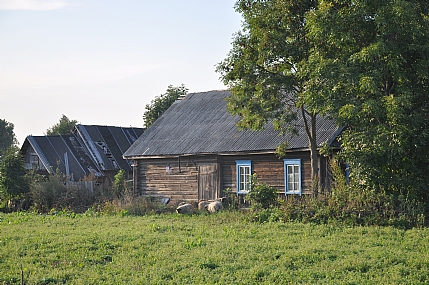 צילום: נתן  רועי