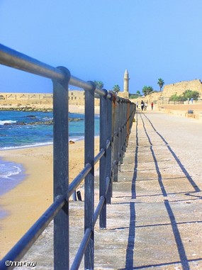 קווים לאופק