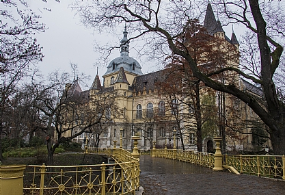 סתיו ליד הבית