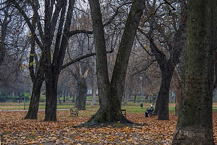 סתיו באירופה