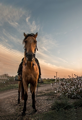 צילום אחד ודי