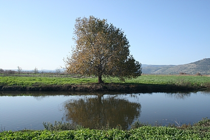 צילום: אבישי דוד