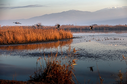 מעוף בסדר מופתי