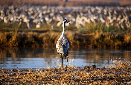 יש לי הרבה מה לומר