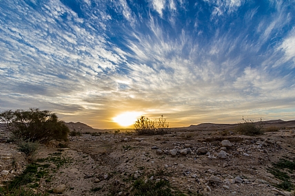 זריחה במדבר