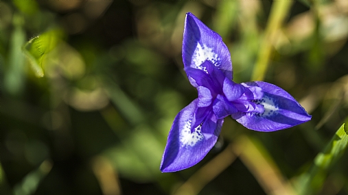 אחר הצהריים 