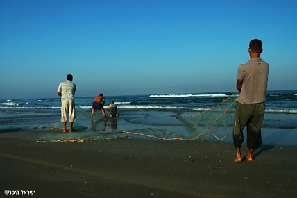 צילום: ישראל קיסר