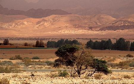 "כאן הרי אדום ..."