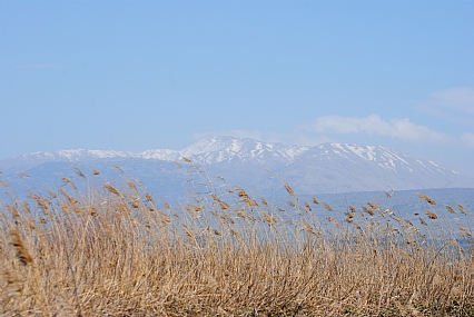 החרמון  מהעמק