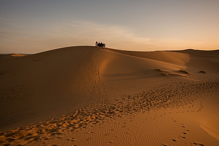 על חמוקי סהרה