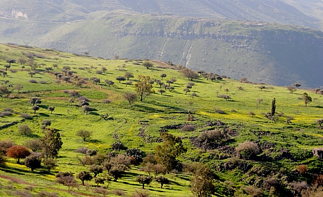 נוף דרום רמת הגולן