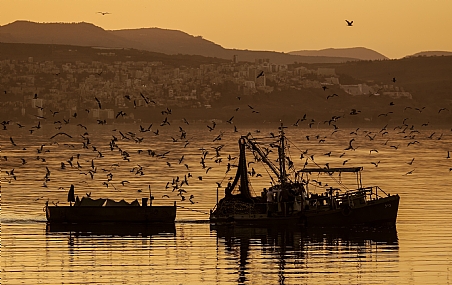 דייגים דגו לעת שקיעה