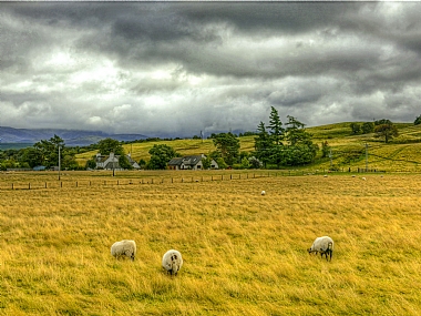 לפני הסערה | סקוטלנד