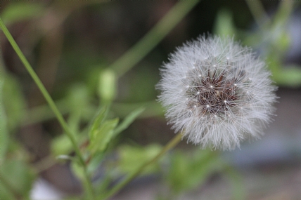 צילום: איילה ארביב