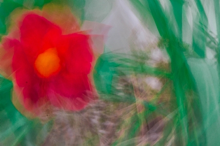 המצלמה כמכחול