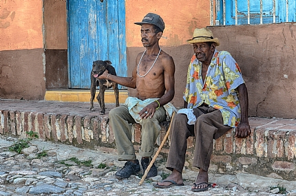 קובה. | קשיש  מקל  כלב  סינפואגוס 