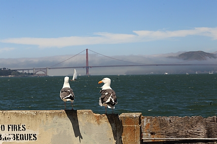 אז מה אתה אומר ?