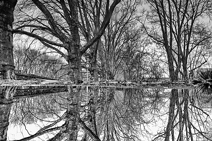 שני צדדים ל...