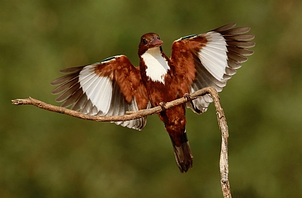 רגע לפניי...