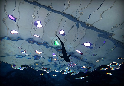 אורות - הכרך  