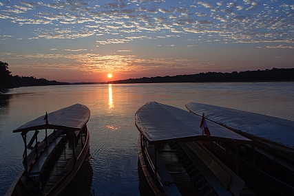 על גדות האמזונס