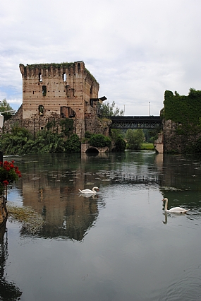 שומרים על העבר