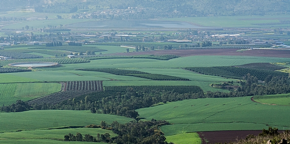עמק יזרעאל