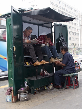 תרבות מקומית