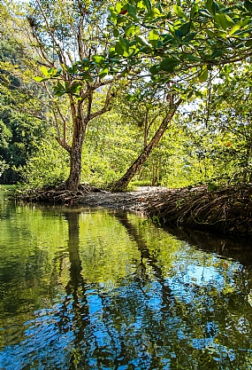 Green & Blue Reflectio