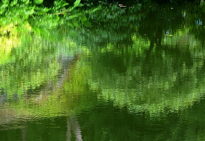 השתקפות נטו