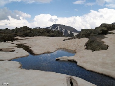 מי רוצה לשחות?