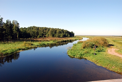 זרימה איטית