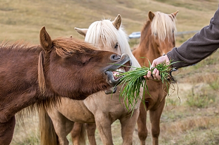 קשר חם דווקא שם