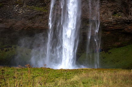 הפרגוד של הטבע