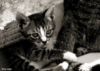 חושב על העתיד