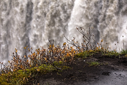 כשהמפל ברקע 