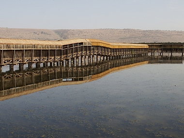 הגשר הצף