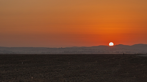 איכר בשדה עם שחר