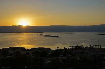 השחר העולה על ים המוות