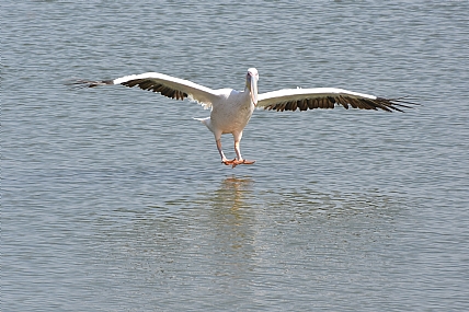 צילום: יאיר  סהר