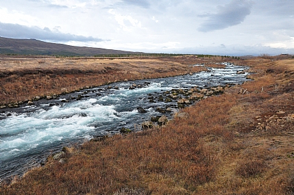 צילום: יאיר  סהר