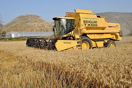 סוף עונת הקציר