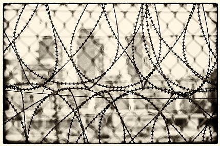 מאחורי הגדר