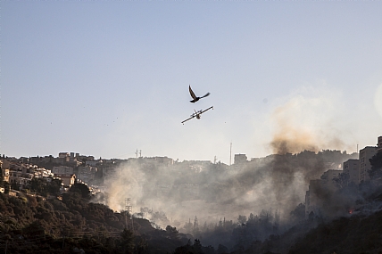 צילום: Stas Yakovlev