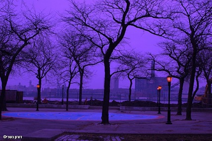 סגול על ההדסון