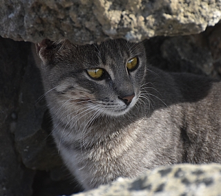 צילום: יאיר  סהר